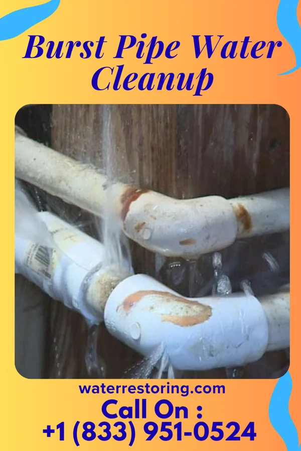 Burst Pipe Water Cleanup in Doniphan, MO