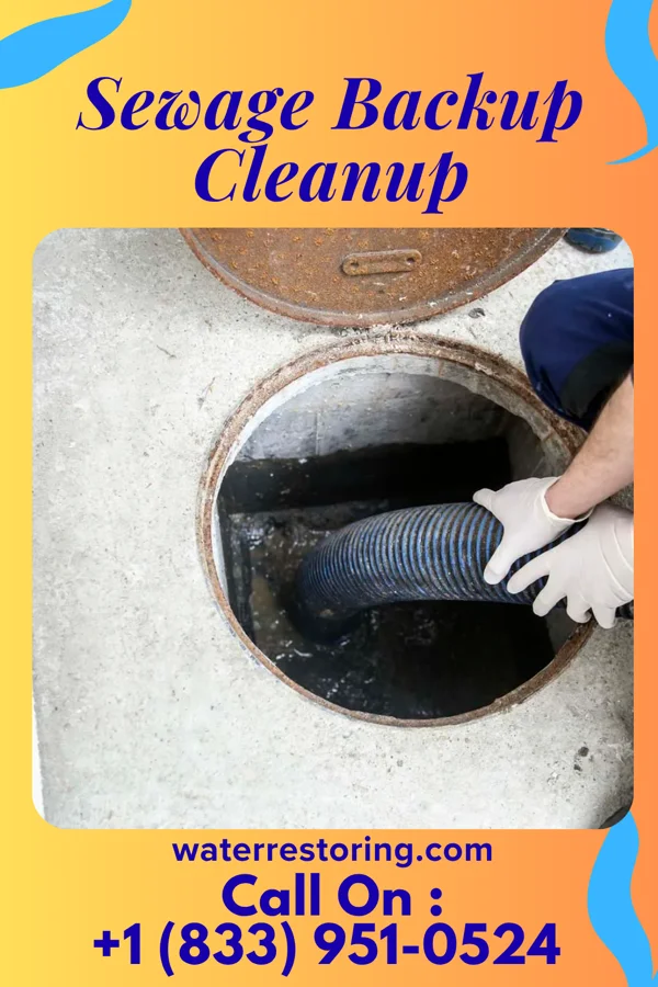 Sewage Backup Cleanup in Doniphan, MO