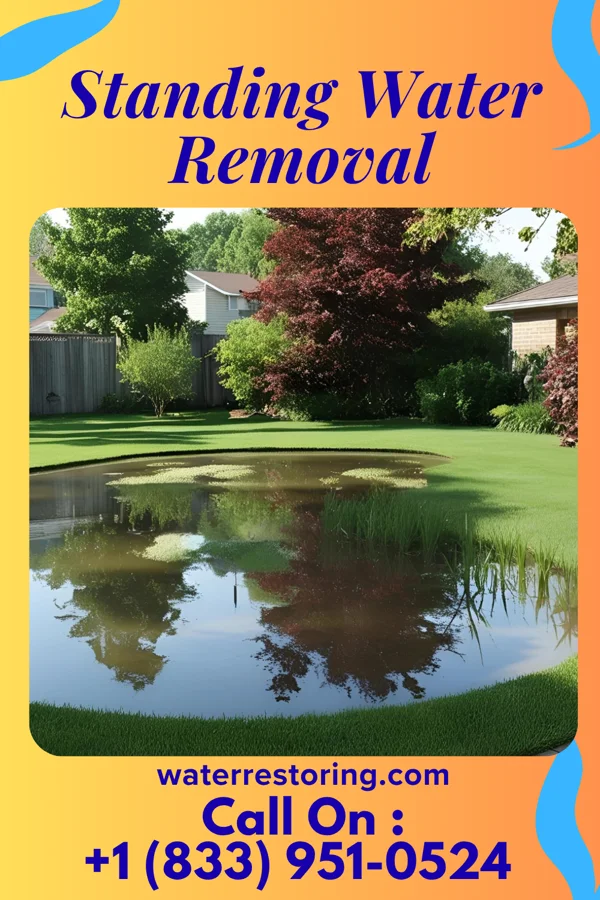 Standing Water Removal in Doniphan, MO